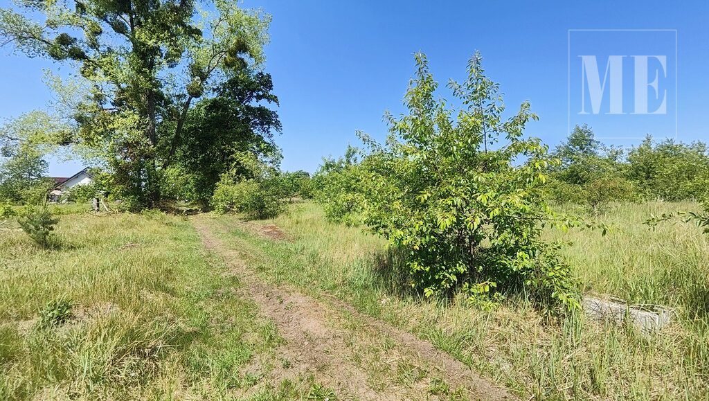 Działka z WZ budowlana Rurzyca Goleniów obok Las (8)