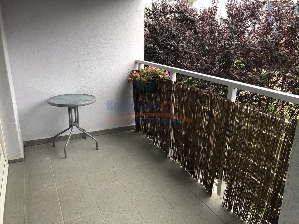 Gumieńce -nowe, 2 pok.  balkon okl. C.H.Ster (6)