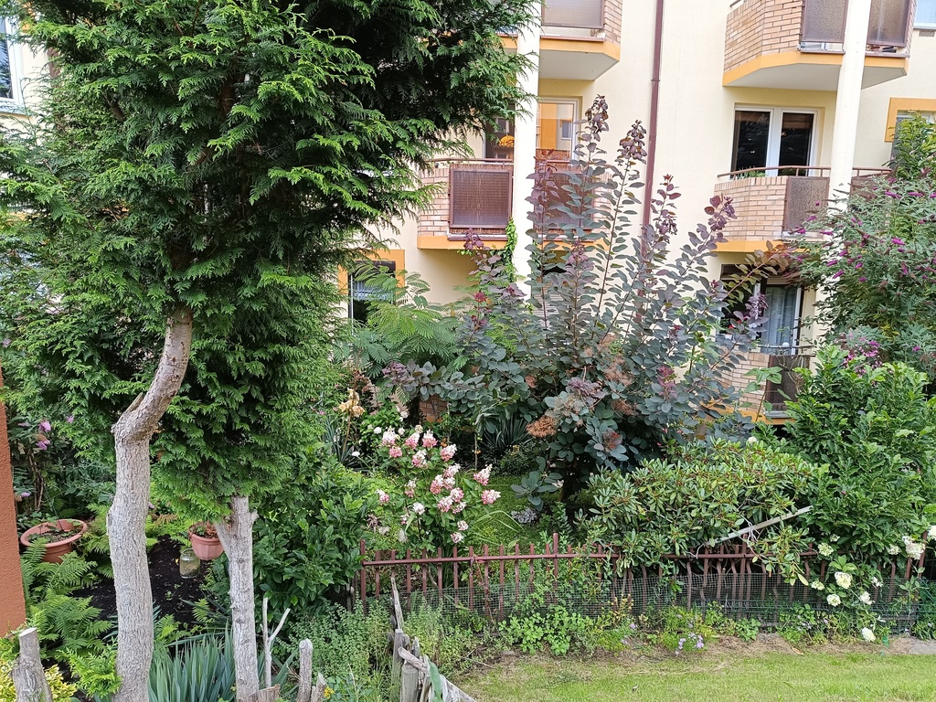 Balkon i ogródek! 57m2, duże 2 pokoje. Os. Bukowe! (16)