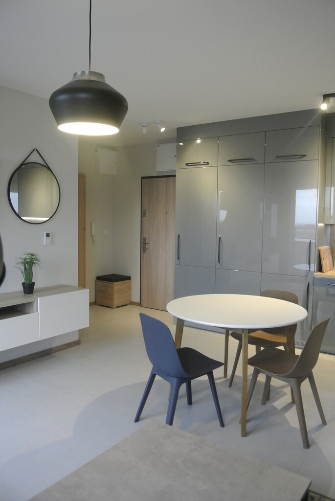 Apartament 2-pokojowy, Pełne wyposażenie, Centrum (2)