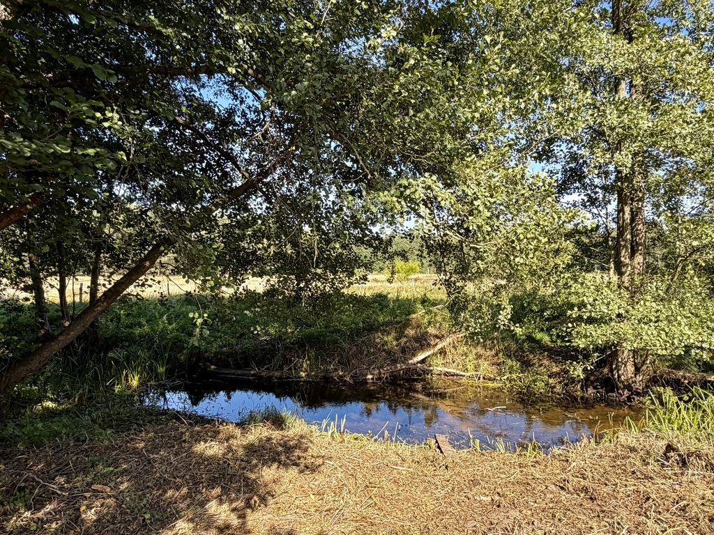 Działka inwestycyjna 1 392m2, Tanowo | Witorza (3)