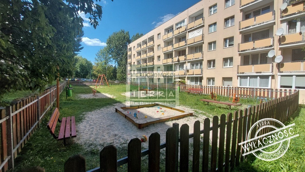 Mieszkanie z widokiem na korony drzew. (20)