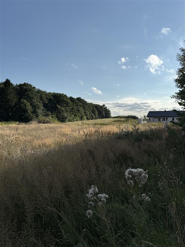 Dom - Stare Bielice Platanowe  (12)