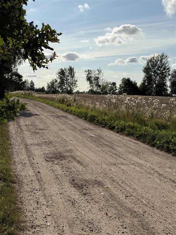 Dom - Stare Bielice Platanowe  (13)