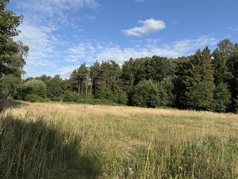 Dom - Stare Bielice Platanowe  (9)