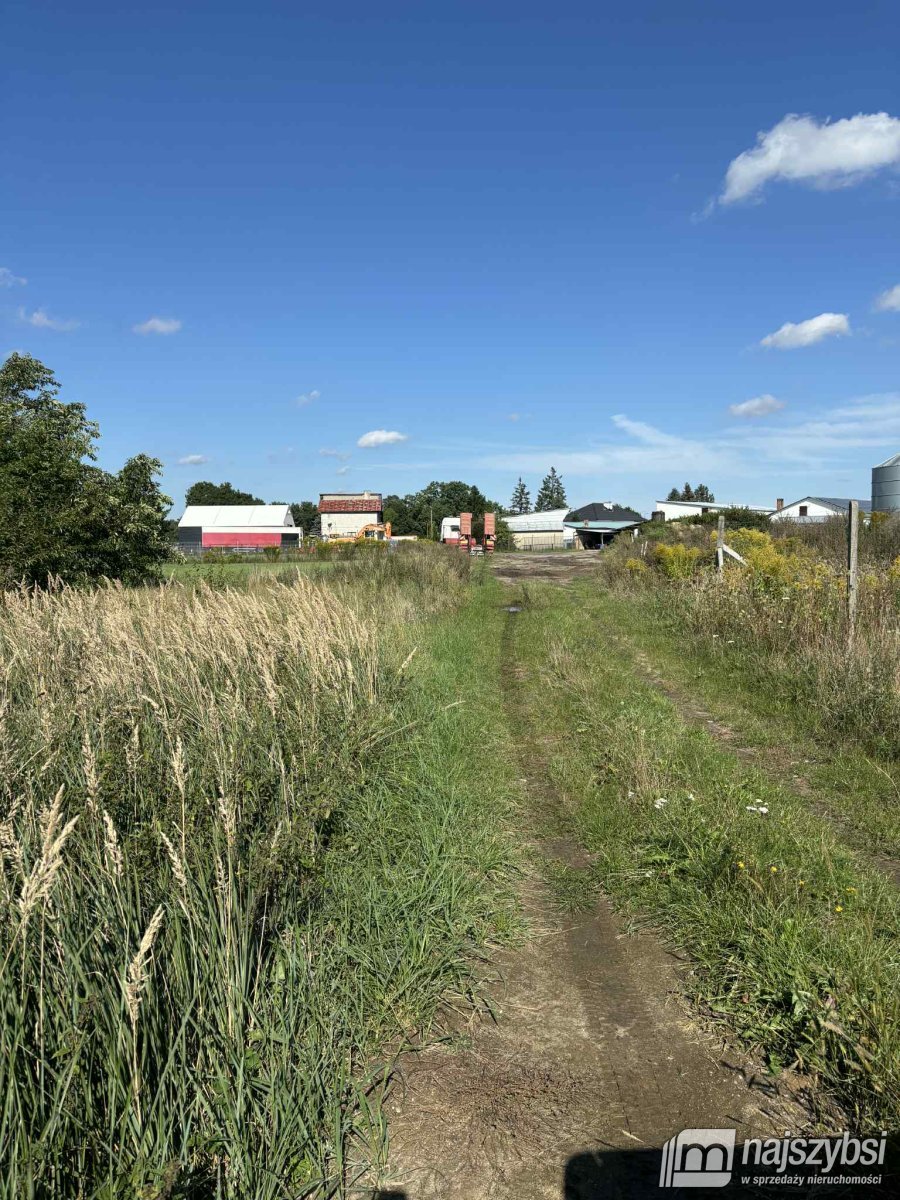 Żółwia Błoć- duża działka wśród zabudowań (2)