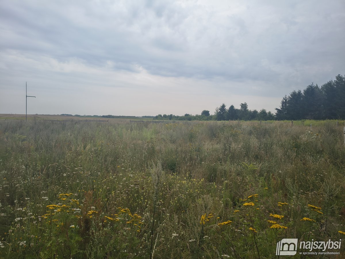 Grzędzice - wynajem prywatnej stajni (5)
