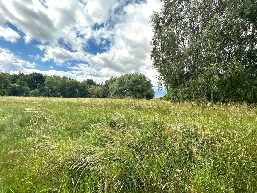 Teren Natura 2000. Decyzja o warunkach zabudowy (2)