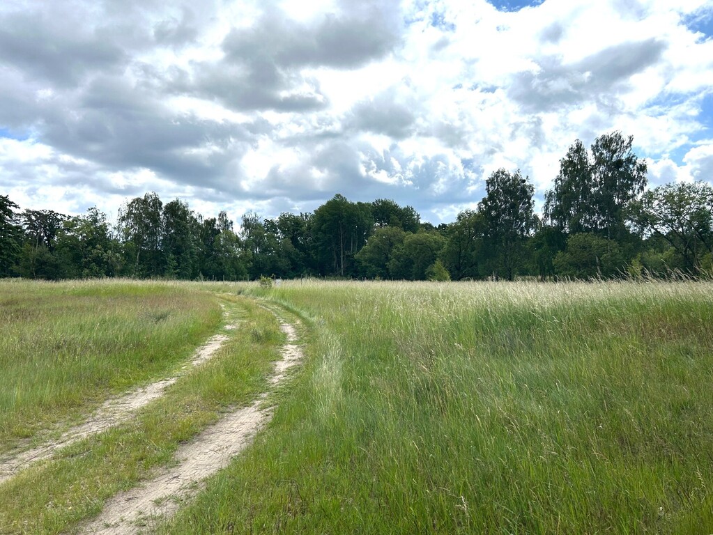 Teren Natura 2000. Decyzja o warunkach zabudowy (5)
