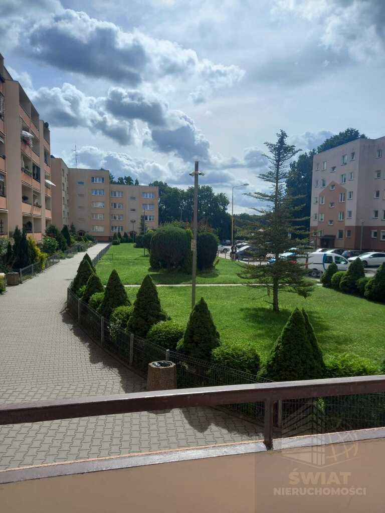Mieszkanie 3 pok.+ balkon cena 435 tys. zł (4)