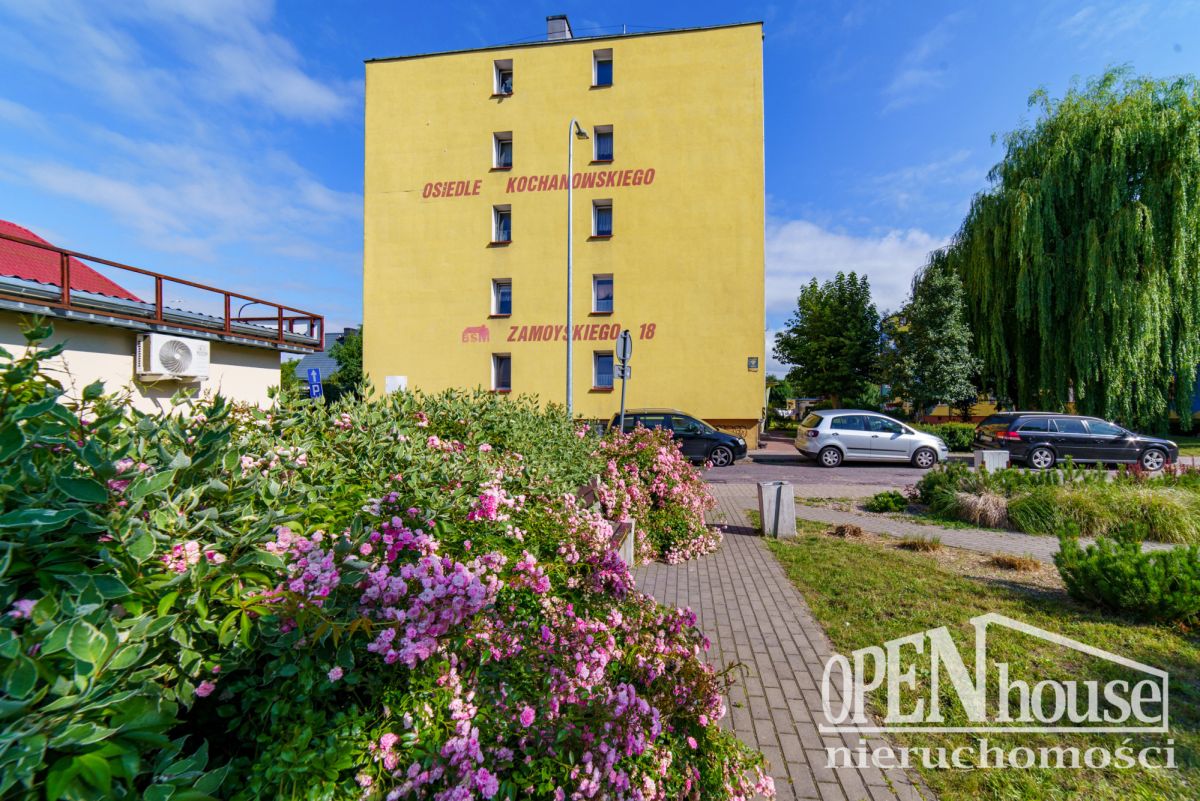 Mieszkanie 3 pokoje, 1 piętro, ul. Zamoyskiego (1)