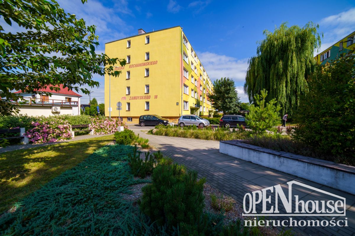 Mieszkanie 3 pokoje, 1 piętro, ul. Zamoyskiego (18)