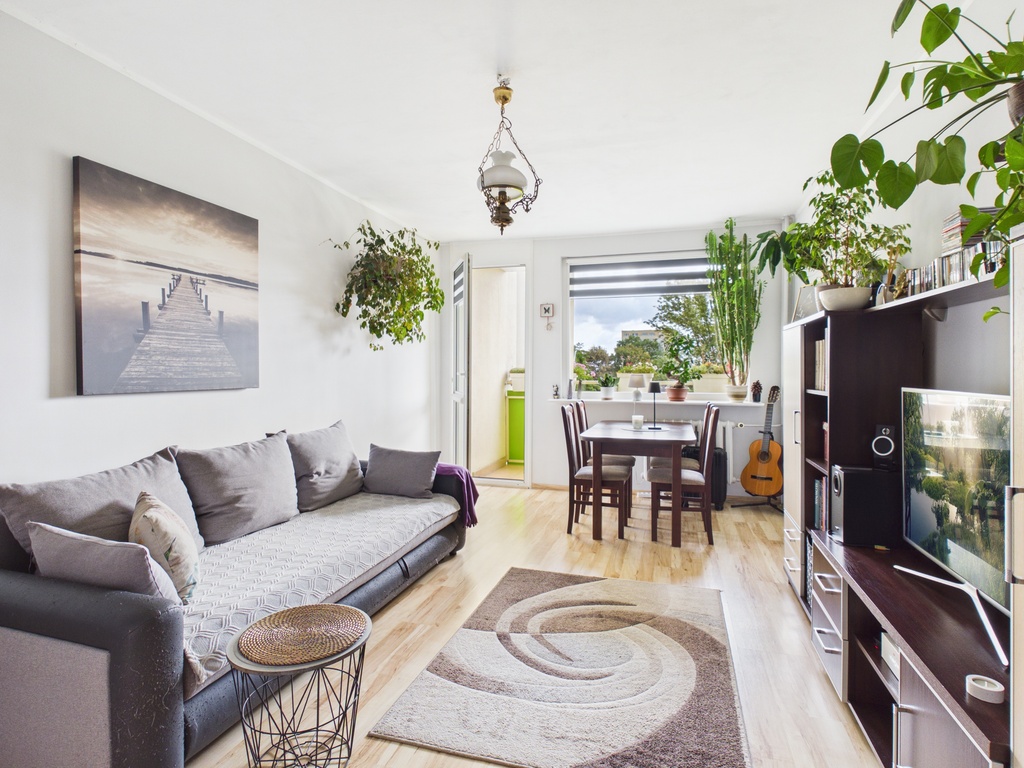 2 pok, osobna kuchnia, balkon, ul. Świętoborzyców (2)