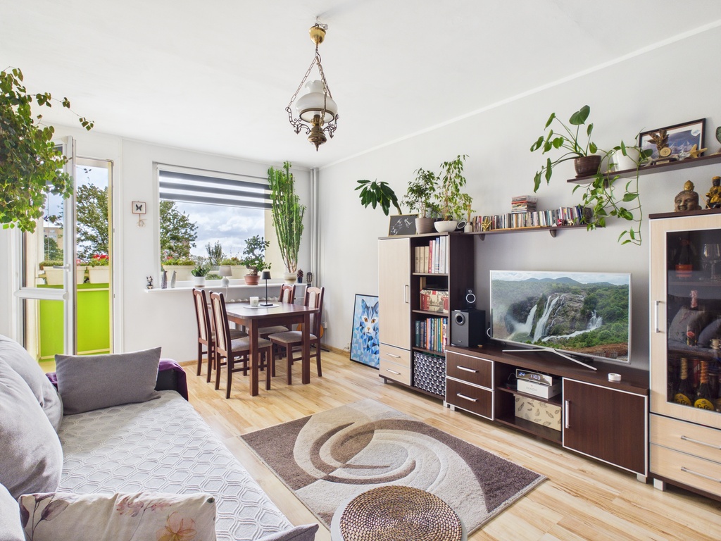 2 pok, osobna kuchnia, balkon, ul. Świętoborzyców (1)