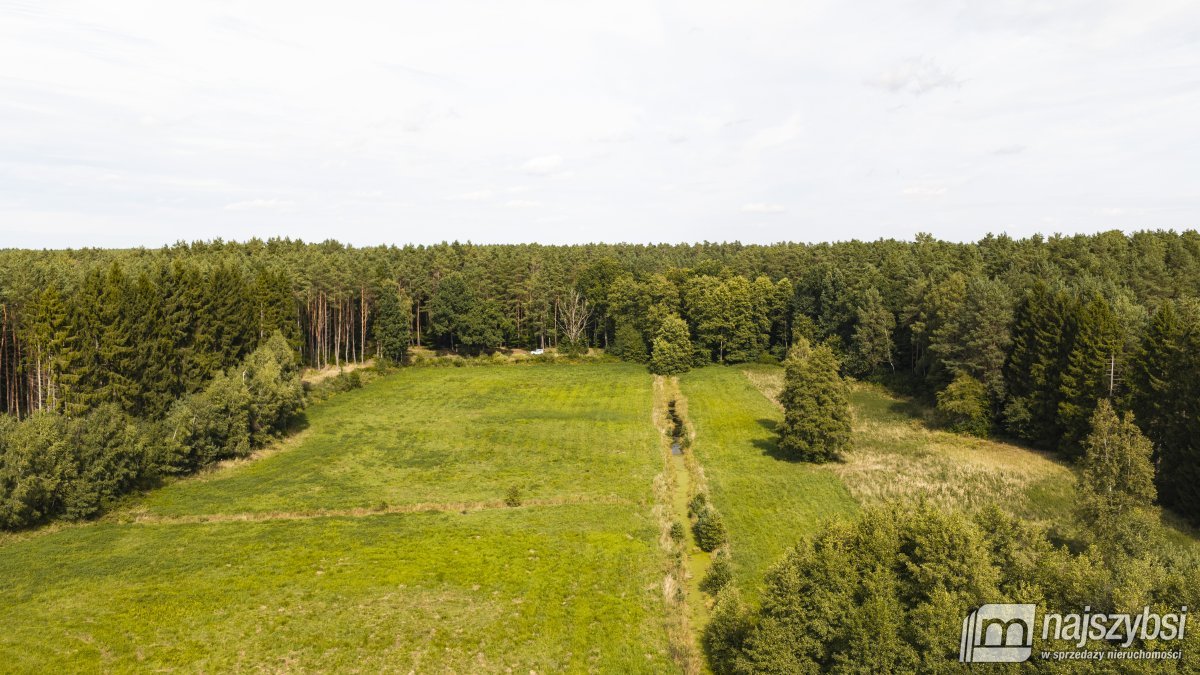Czermnica - okolice Nowogardu,  działka 10, 74ha  (10)