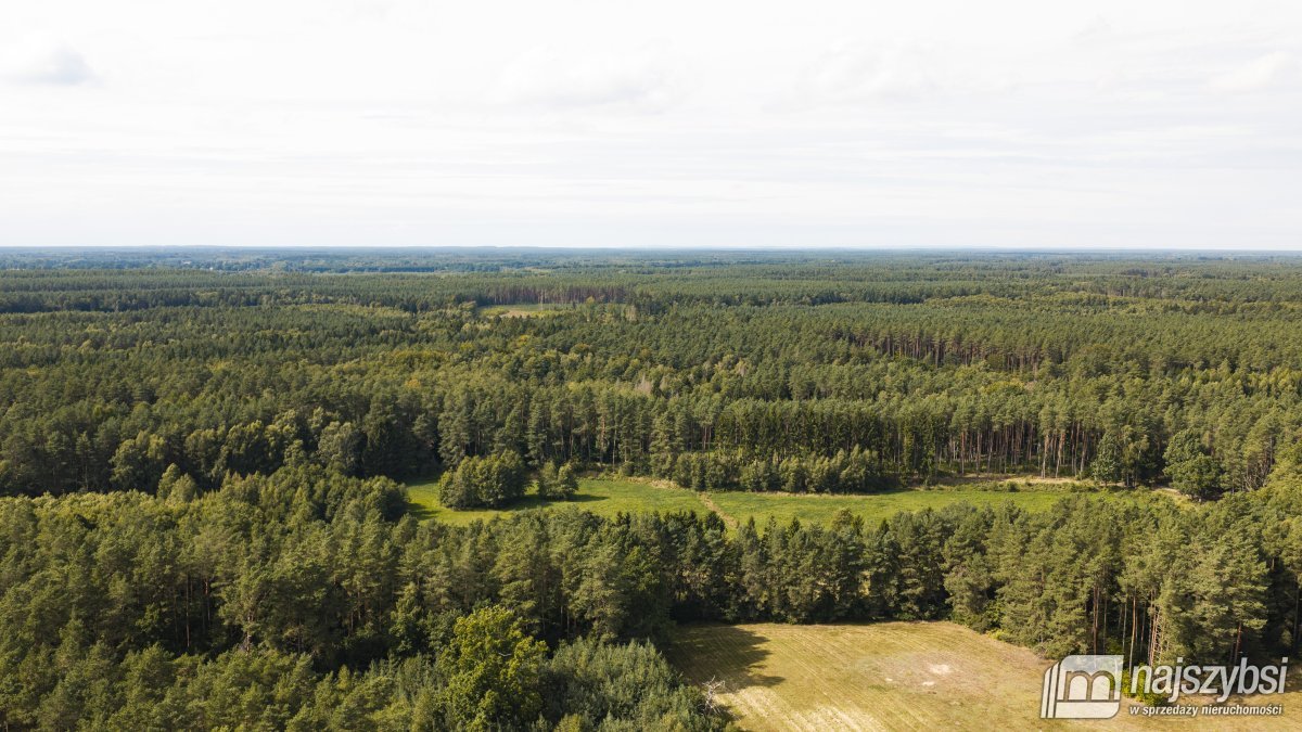Czermnica - okolice Nowogardu,  działka 10, 74ha  (12)