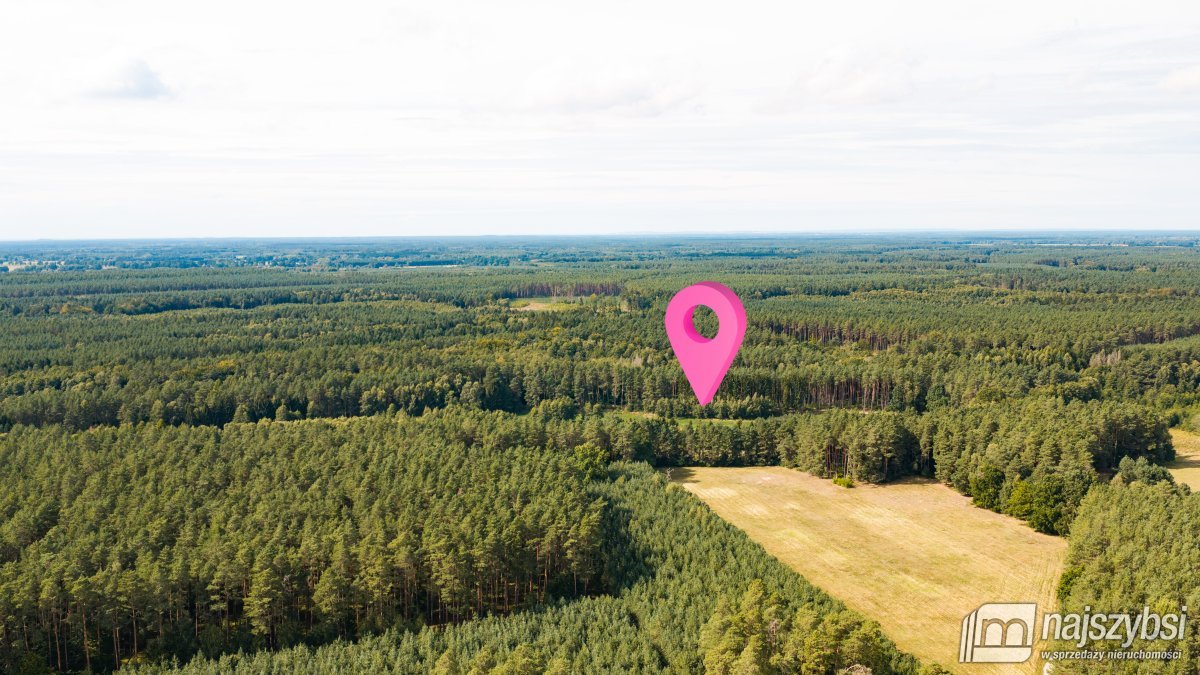 Czermnica - okolice Nowogardu,  działka 10, 74ha  (13)