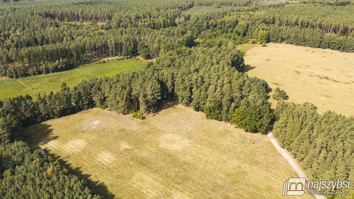 Czermnica - okolice Nowogardu,  działka 10, 74ha  (15)
