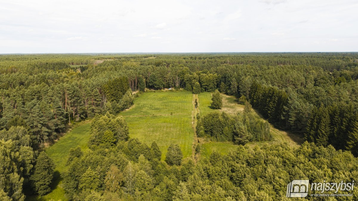 Czermnica - okolice Nowogardu,  działka 10, 74ha  (9)