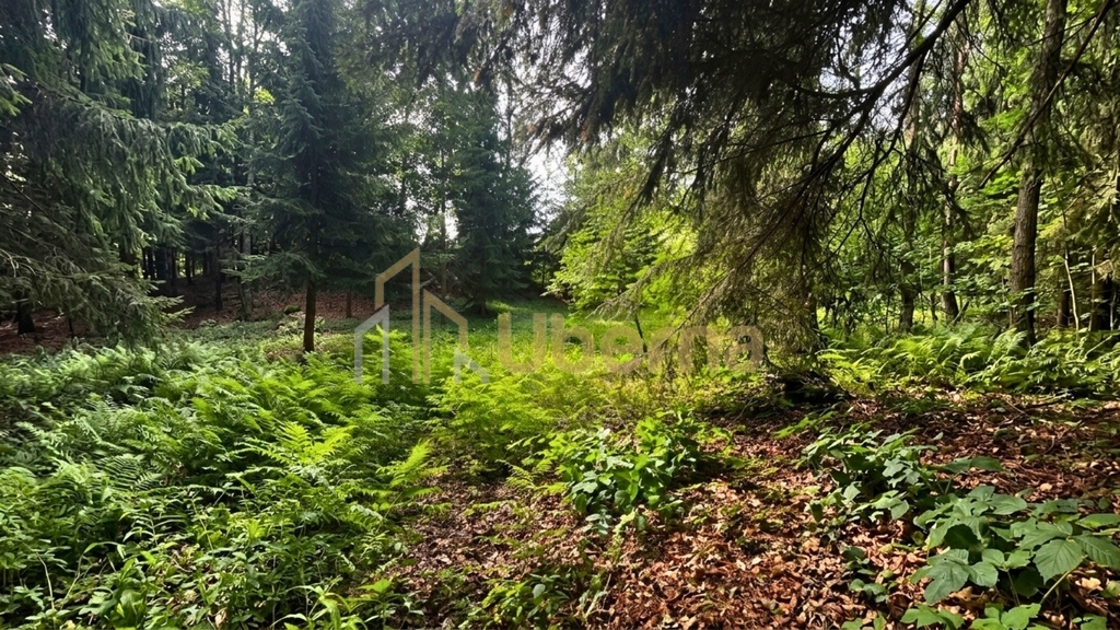 Działka 3206 m2 przy jeziorze z WZ (2)