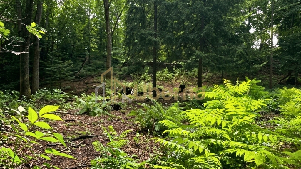 Działka 3206 m2 przy jeziorze z WZ (3)