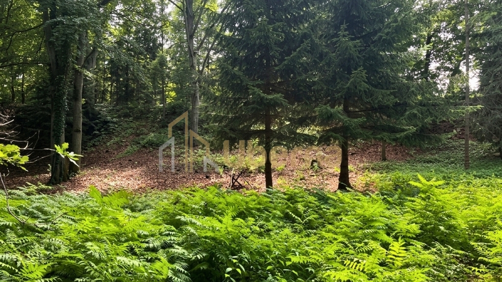Działka 3206 m2 przy jeziorze z WZ (4)