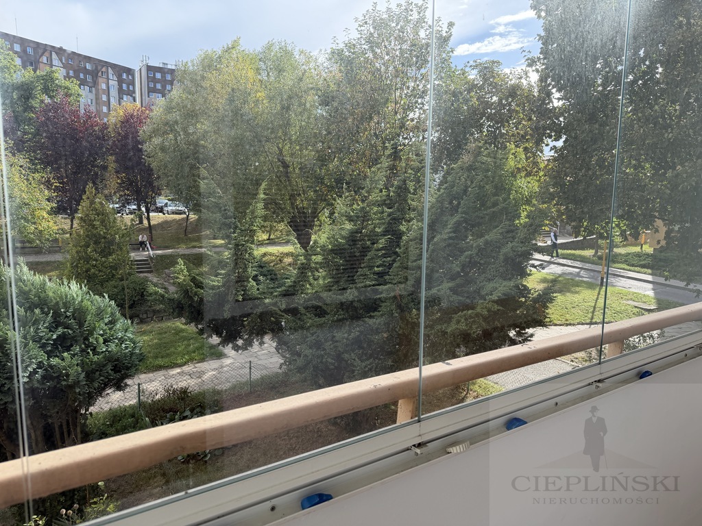 2 pokoje, 49, 4 m2, balkon, Puszcza Bukowa (4)