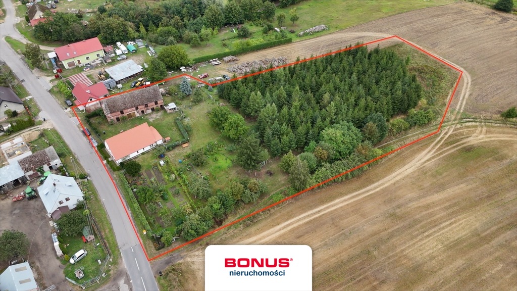 Dom wolnostojący na działce 7900 m2 w Słodkowie. (1)