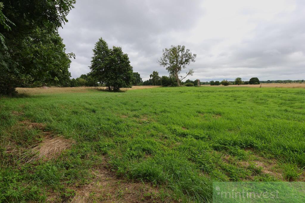 1,95 HA W ŻARNOWIE - TWOJE MIEJSCE BLISKO NATURY (5)