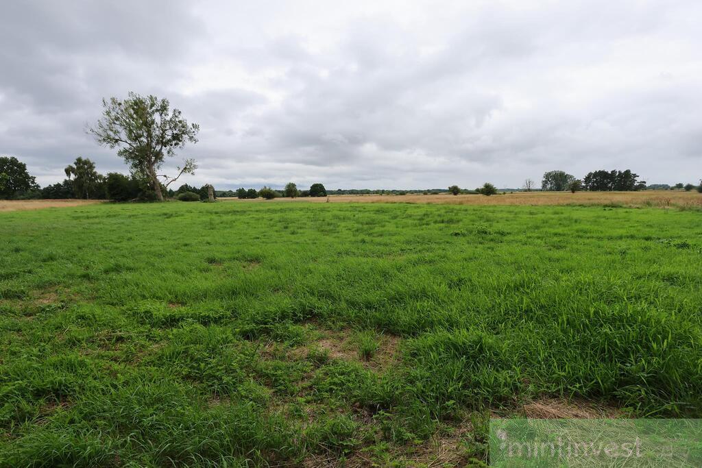 1,95 HA W ŻARNOWIE - TWOJE MIEJSCE BLISKO NATURY (2)