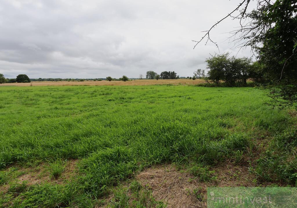 1,95 HA W ŻARNOWIE - TWOJE MIEJSCE BLISKO NATURY (8)