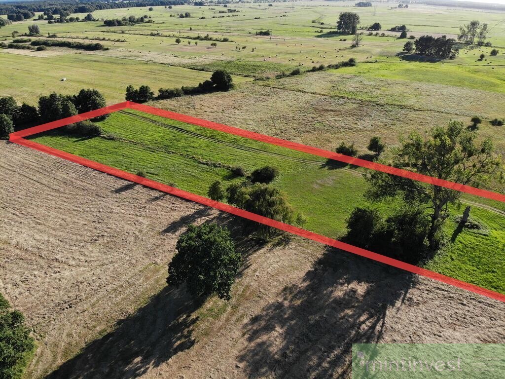1,95 HA W ŻARNOWIE - TWOJE MIEJSCE BLISKO NATURY (7)