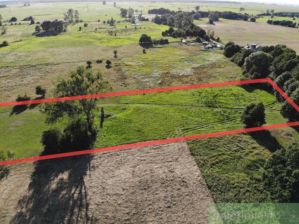 1,95 HA W ŻARNOWIE - TWOJE MIEJSCE BLISKO NATURY (6)