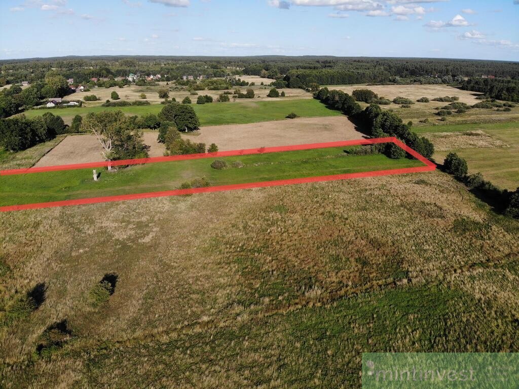 1,95 HA W ŻARNOWIE - TWOJE MIEJSCE BLISKO NATURY (4)