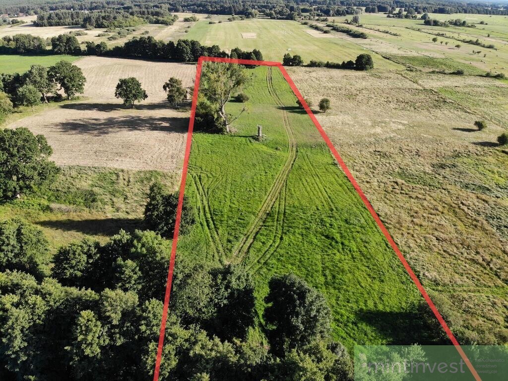 1,95 HA W ŻARNOWIE - TWOJE MIEJSCE BLISKO NATURY (1)