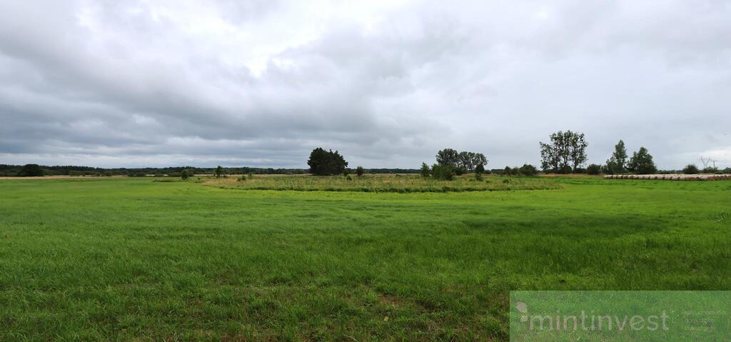 Działka rolna 4,86 ha  ŻARNOWO (10)