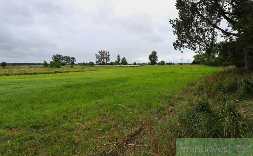 Działka rolna 4,86 ha  ŻARNOWO (12)