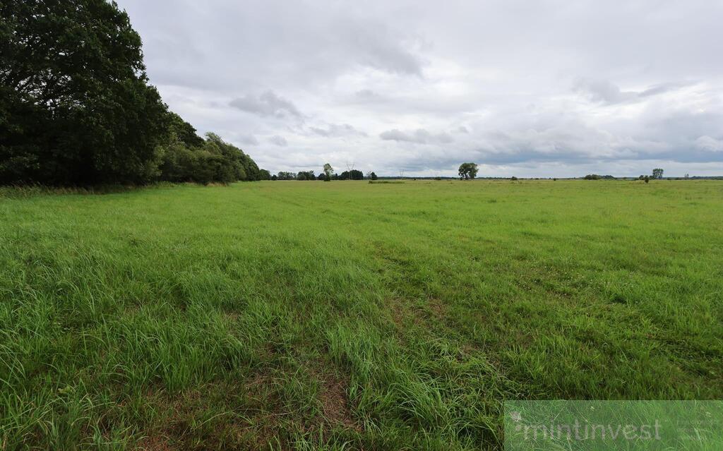 Działka rolna w Żarnowie 3,31 ha, gmina Stepnica (1)