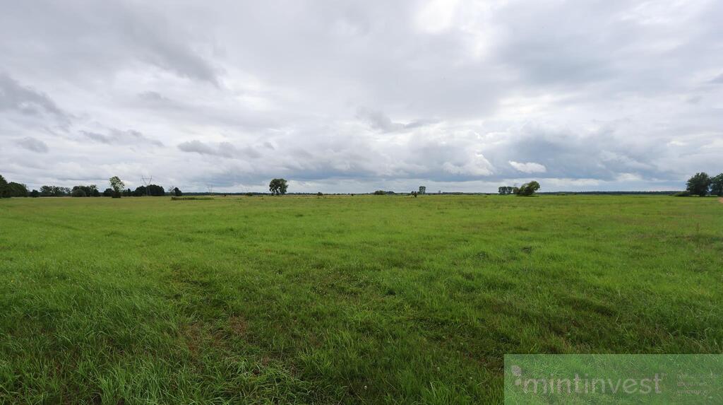 Działka rolna w Żarnowie 3,31 ha, gmina Stepnica (2)