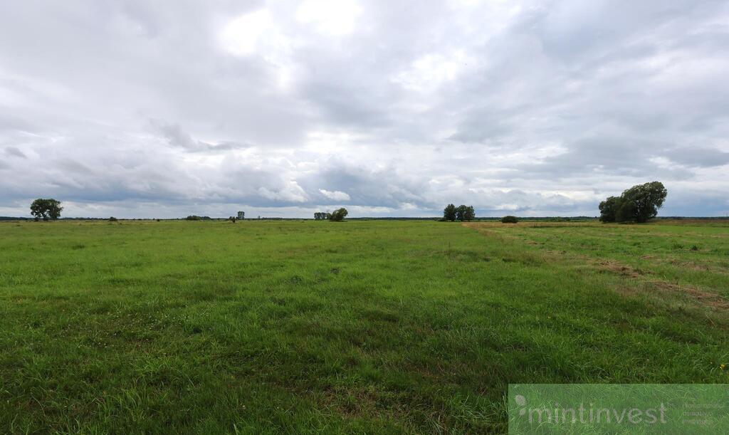 Działka rolna w Żarnowie 3,31 ha, gmina Stepnica (3)
