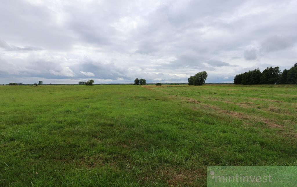 Działka rolna w Żarnowie 3,31 ha, gmina Stepnica (4)