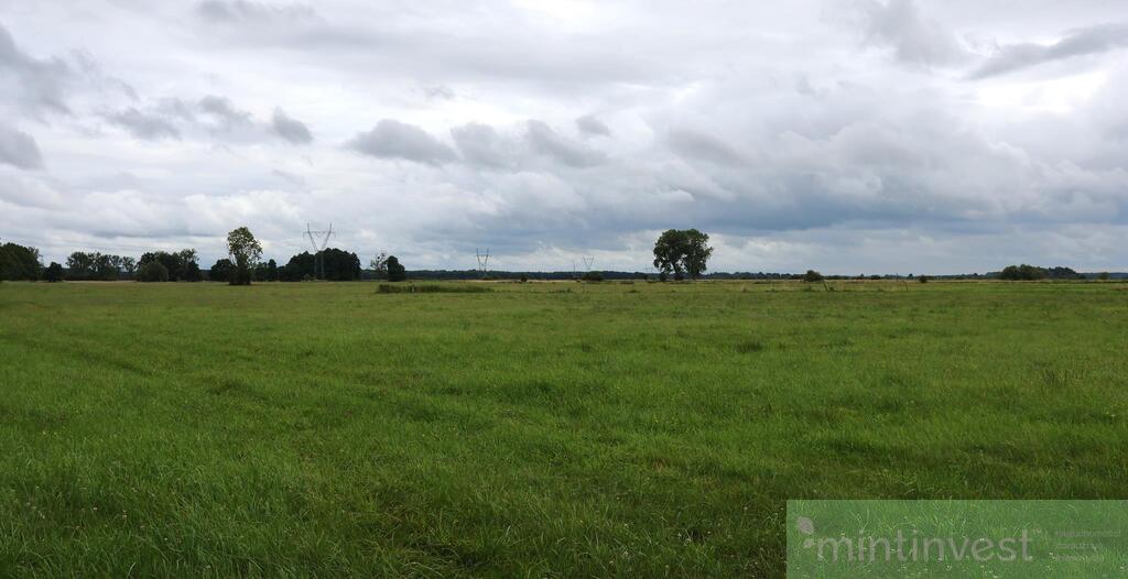 Działka rolna w Żarnowie 3,31 ha, gmina Stepnica (5)