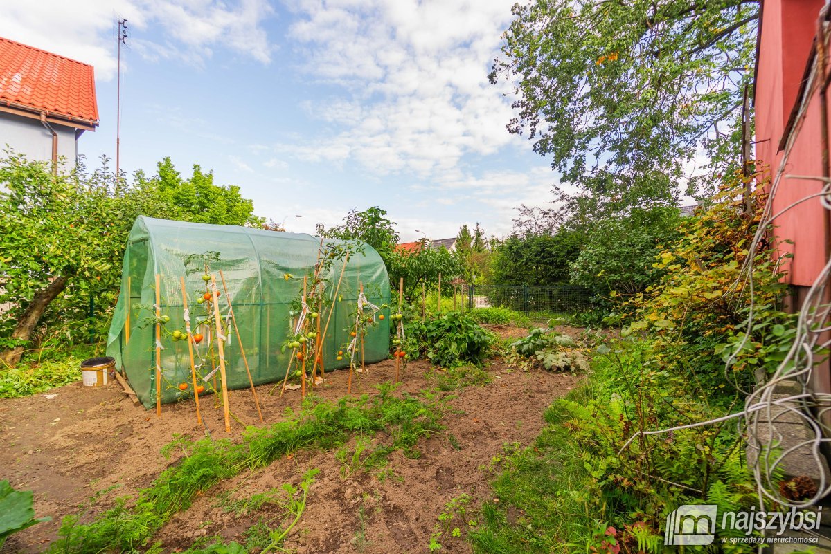 Goleniów - wolnostojący, parterowy, umeblowany (26)