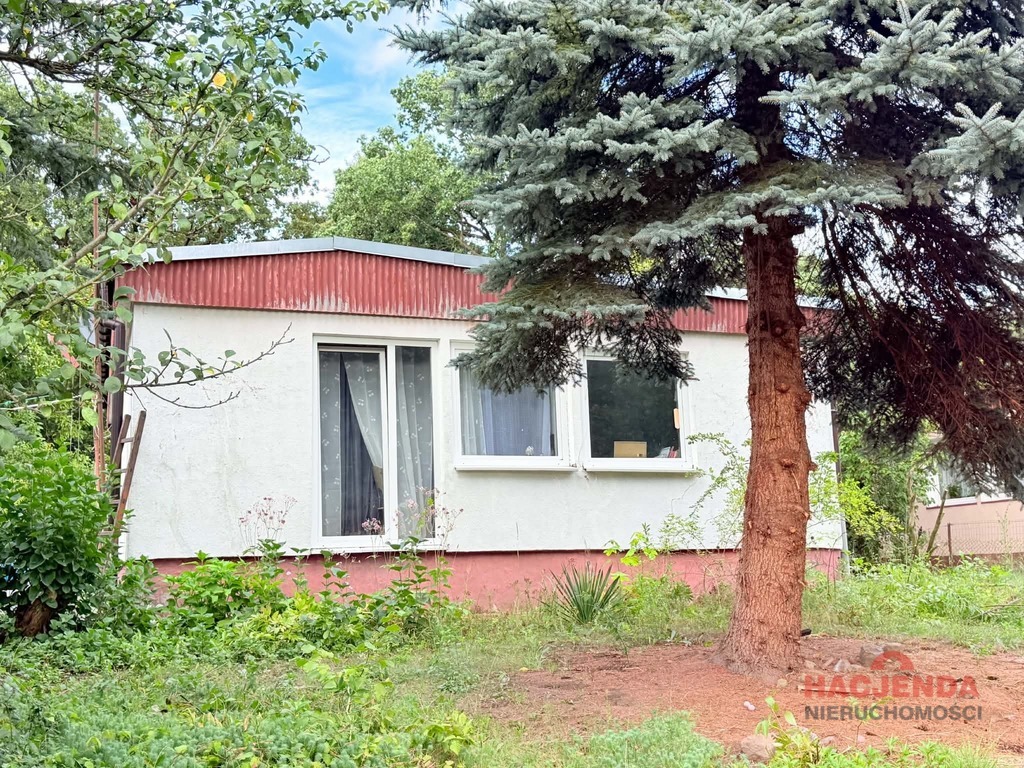Pilchowo -spokojna okolica (7)