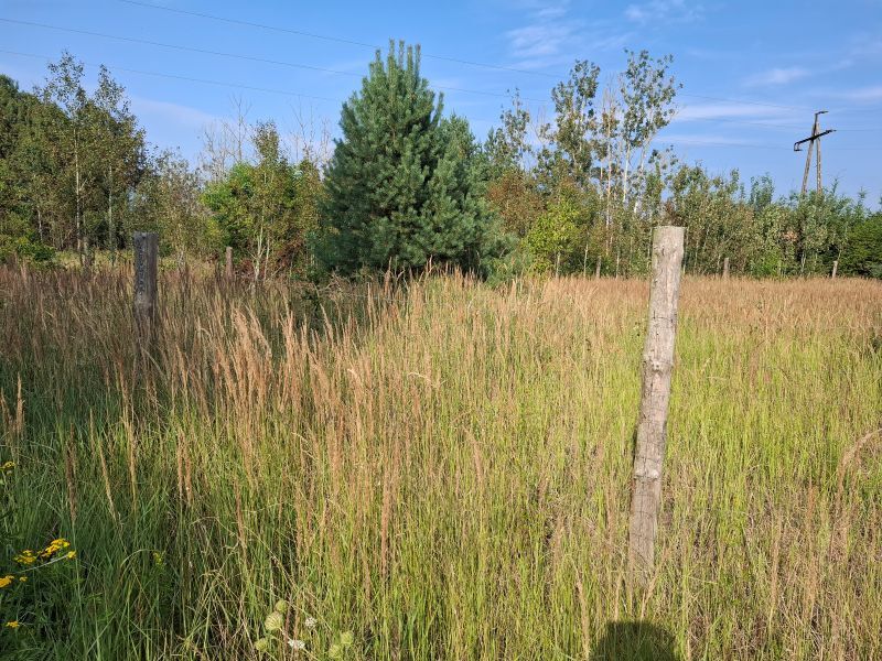 Na sprzedaż działka o pow. 1103m2 (2)