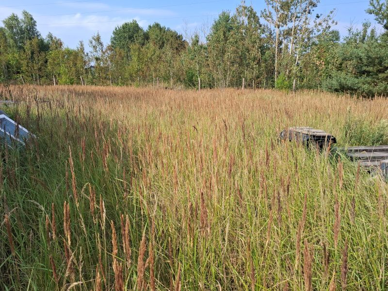 Na sprzedaż działka o pow. 1103m2 (3)
