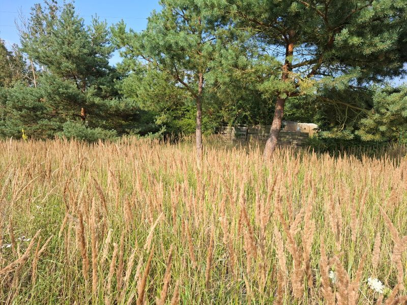 Na sprzedaż działka o pow. 1103m2 (4)