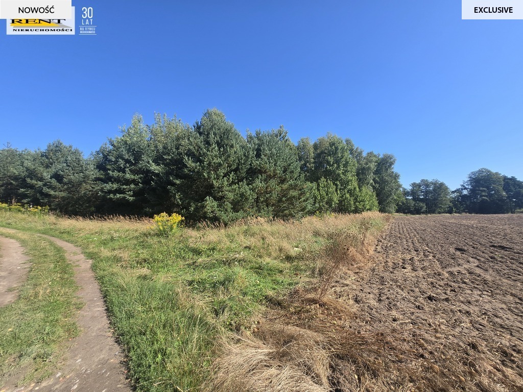 Działki z MPZP, Chłopowo k. Choszczna (3)