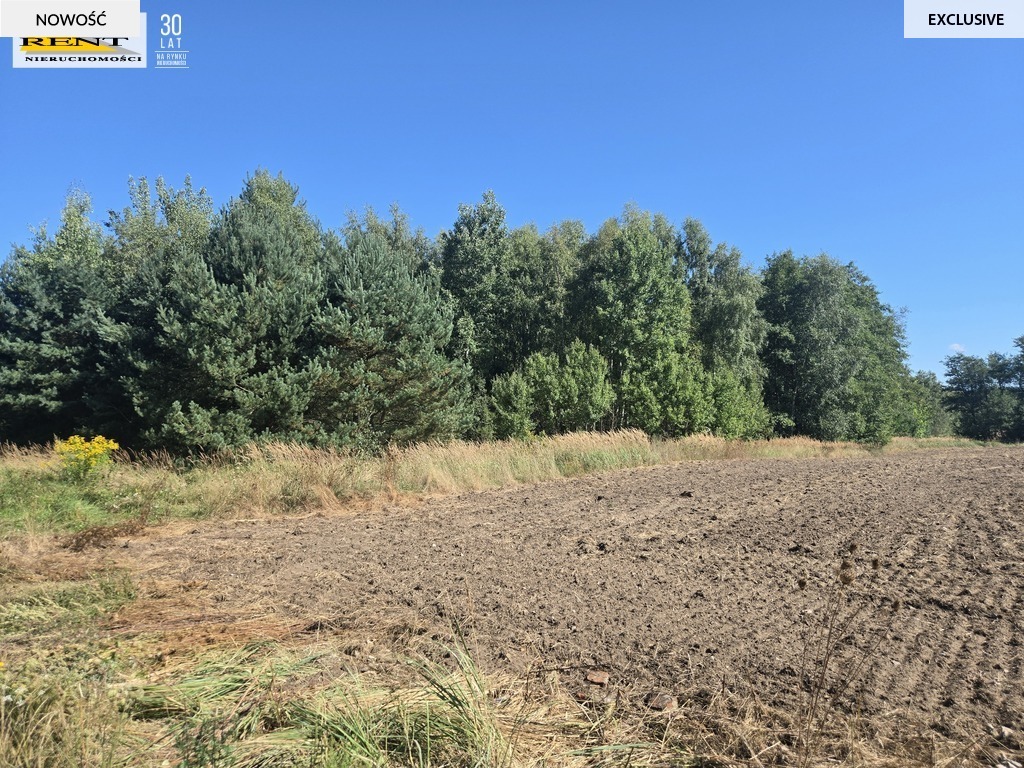 Działki z MPZP, Chłopowo k. Choszczna (5)