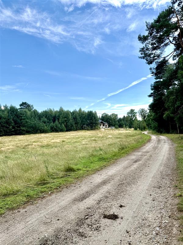Działka - Stepień Kolonia (1)